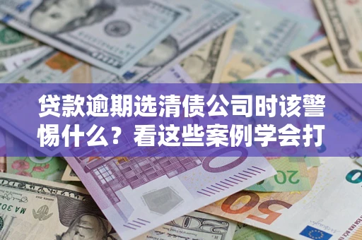 武汉贷款逾期选清债公司时该警惕什么？看这些案例学会打翻身仗