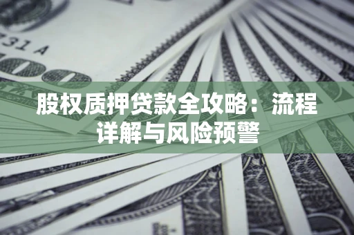 武汉股权质押贷款全攻略：流程详解与风险预警