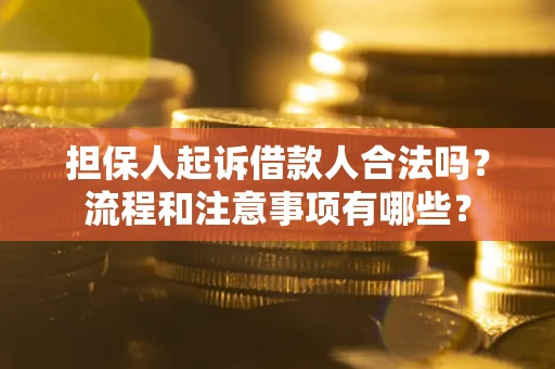 武汉担保人起诉借款人合法吗？流程和注意事项有哪些？