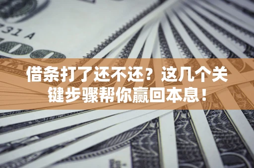 武汉借条打了还不还？这几个关键步骤帮你赢回本息！