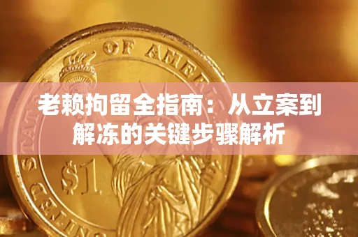 武汉老赖拘留全指南：从立案到解冻的关键步骤解析