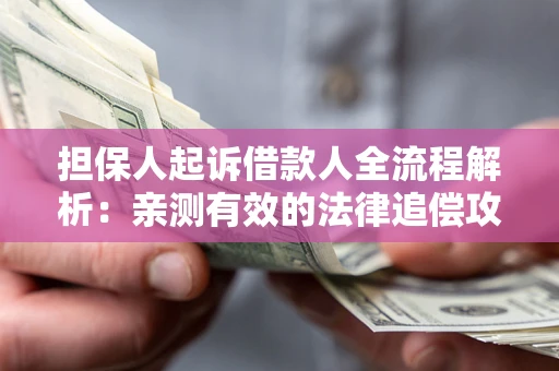 武汉担保人起诉借款人全流程解析：亲测有效的法律追偿攻略