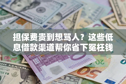 武汉担保费贵到想骂人？这些低息借款渠道帮你省下冤枉钱