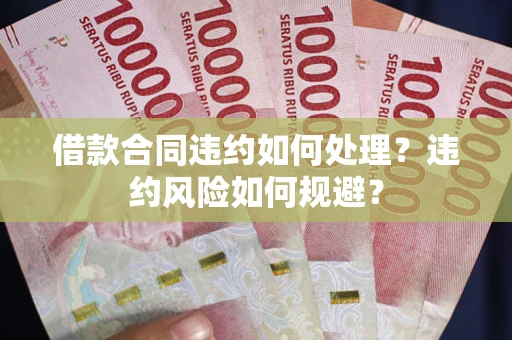 武汉借款合同违约如何处理？违约风险如何规避？
