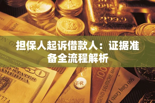 武汉担保人起诉借款人：证据准备全流程解析