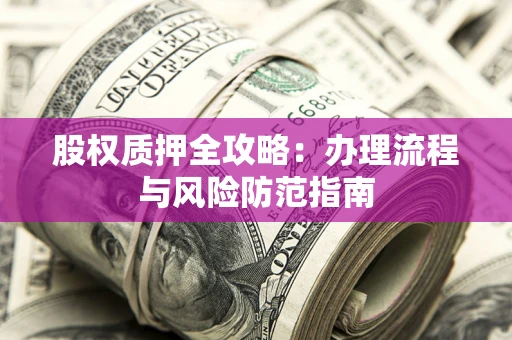 武汉股权质押全攻略：办理流程与风险防范指南