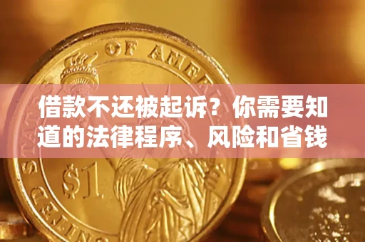 武汉借款不还被起诉？你需要知道的法律程序、风险和省钱技巧