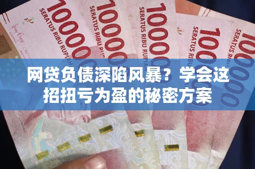 武汉网贷负债深陷风暴？学会这招扭亏为盈的秘密方案